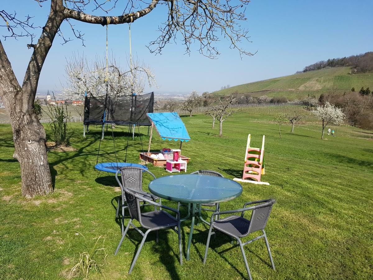 Paradies 1 Döttingen Екстериор снимка