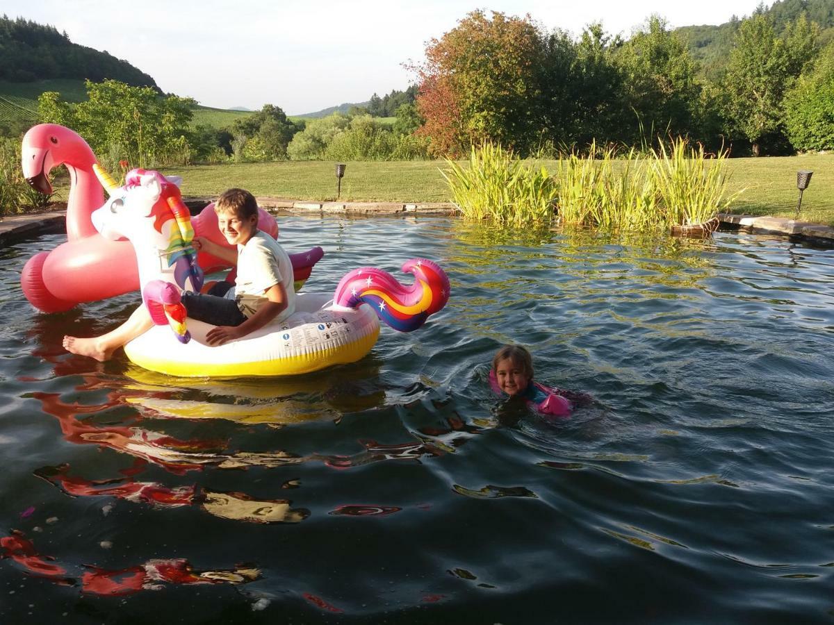 Paradies 1 Döttingen Екстериор снимка